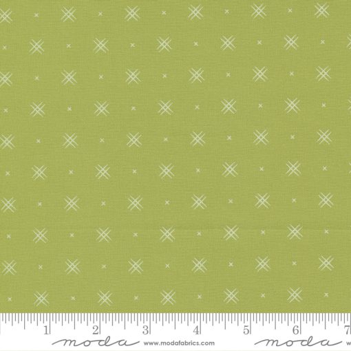 Beyond Bella Pistachio Yardage by Bound Co. for Moda Fabrics