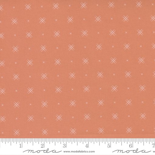 Beyond Bella Coral Yardage by Bound Co. for Moda Fabrics