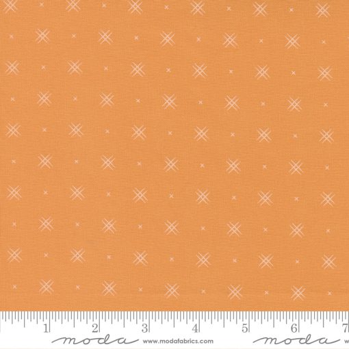 Beyond Bella Amelia Apricot Yardage by Bound Co. for Moda Fabrics