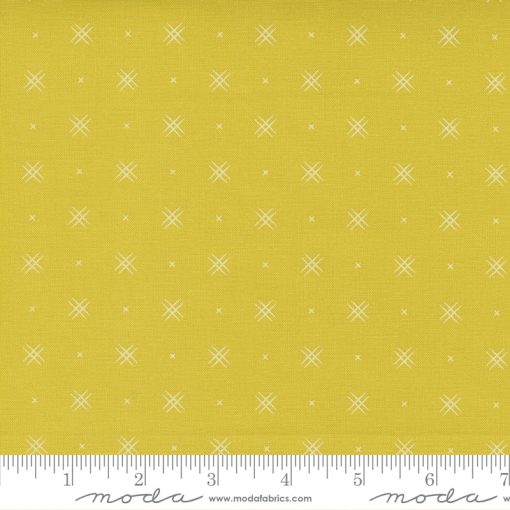 Beyond Bella Citrine Yardage by Bound Co. for Moda Fabrics