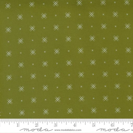 Beyond Bella Avocado Yardage by Bound Co. for Moda Fabrics