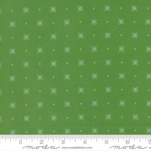 Beyond Bella Kelly Yardage by Bound Co. for Moda Fabrics