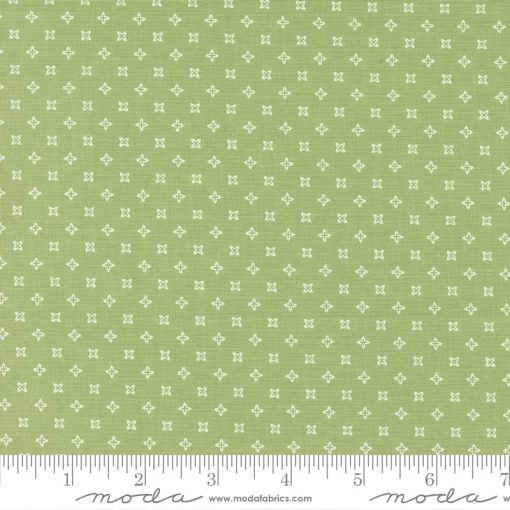 Peachy Keen Fern Seeds Yardage by Corey Yoder for Moda Fabrics