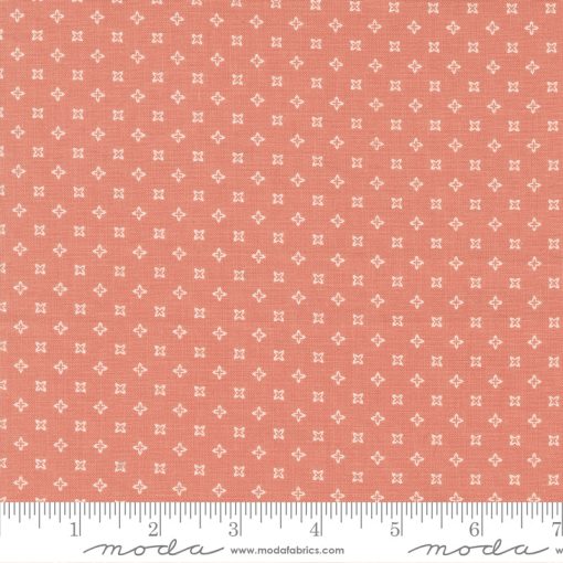 Peachy Keen Coral Seeds Yardage by Corey Yoder for Moda Fabrics