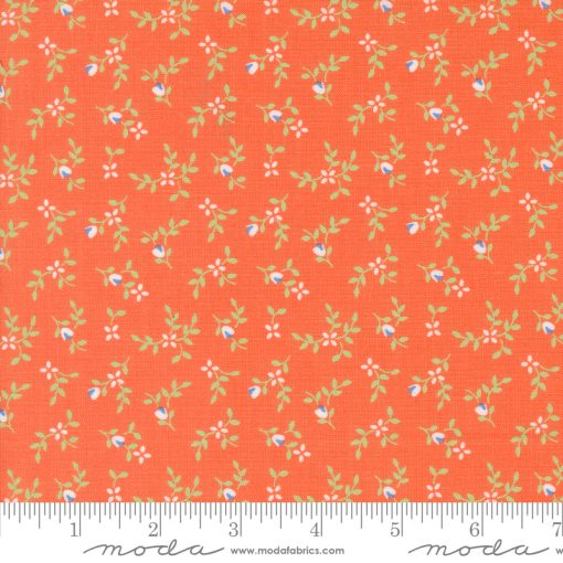 Cali & Co. Melon Vine and Bud Yardage by Corey Yoder for Moda Fabrics