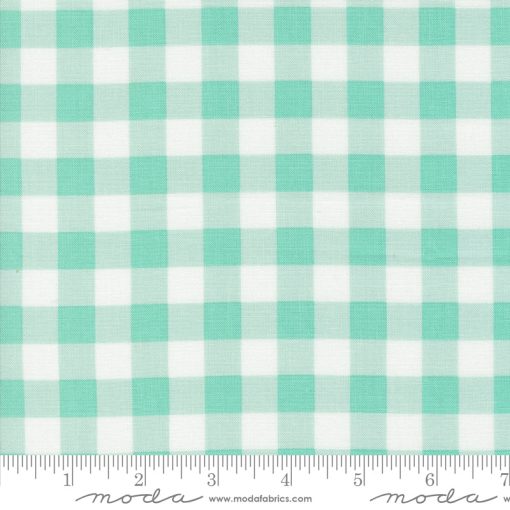 Coriander Colors Aqua Gingham Yardage by Corey Yoder for Moda Fabrics