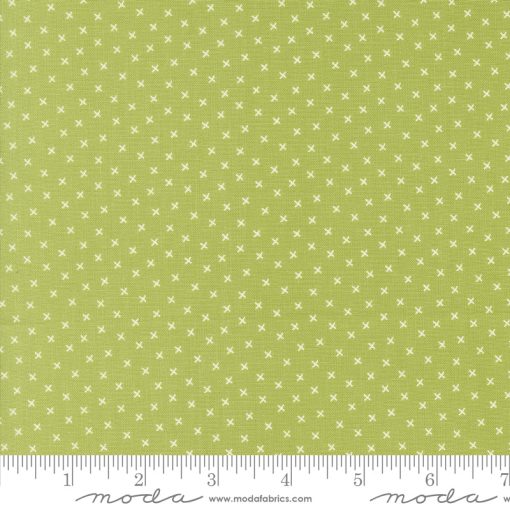 Coriander Colors Green Xs Yardage by Corey Yoder for Moda Fabrics