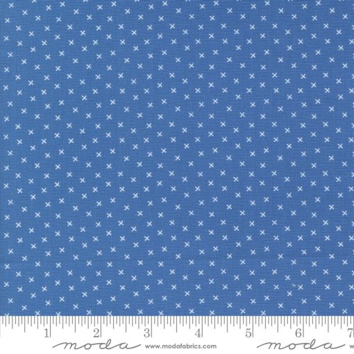 Coriander Colors Blue Xs Yardage by Corey Yoder for Moda Fabrics