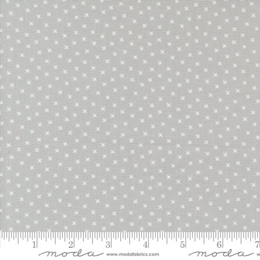 Coriander Colors Grey Xs Yardage by Corey Yoder for Moda Fabrics