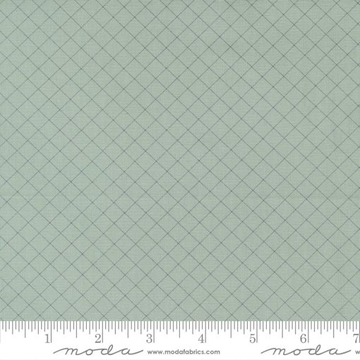 Sunnyside Sea Salt Graph Yardage by Camille Roskelley for Moda Fabrics