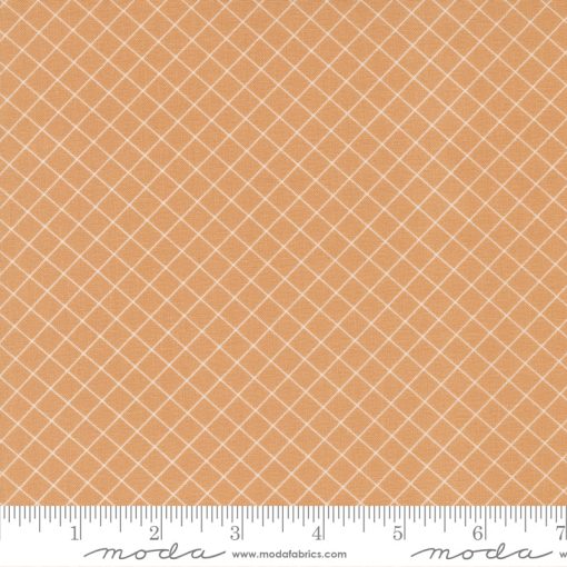 Sunnyside Apricot Graph Yardage by Camille Roskelley for Moda Fabrics