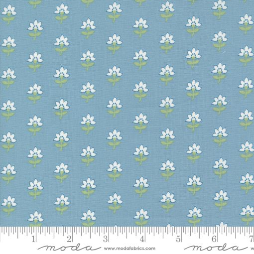 Shoreline Light Blue Coastal Yardage by Camille Roskelley for Moda Fabrics