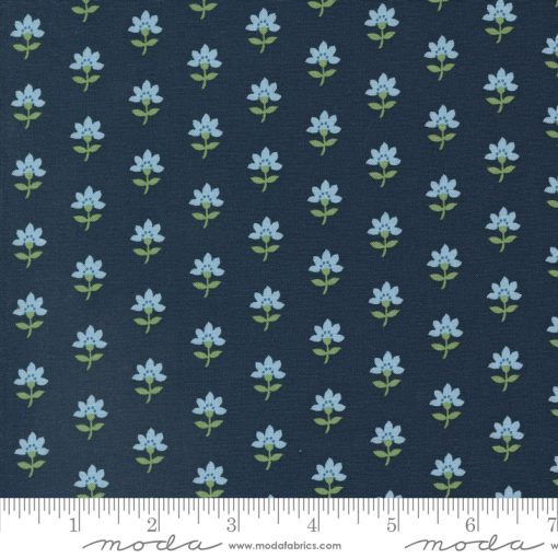 Shoreline Navy Coastal Yardage by Camille Roskelley for Moda Fabrics