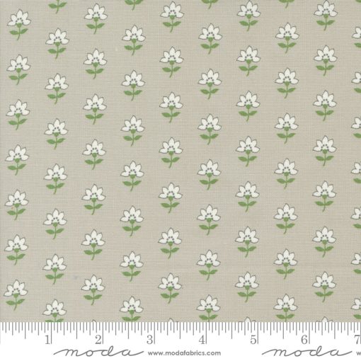 Shoreline Grey Coastal Yardage by Camille Roskelley for Moda Fabrics