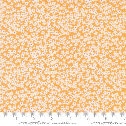 Shine Orangesicle Bloom Yardage by Sweetwater for Moda Fabrics