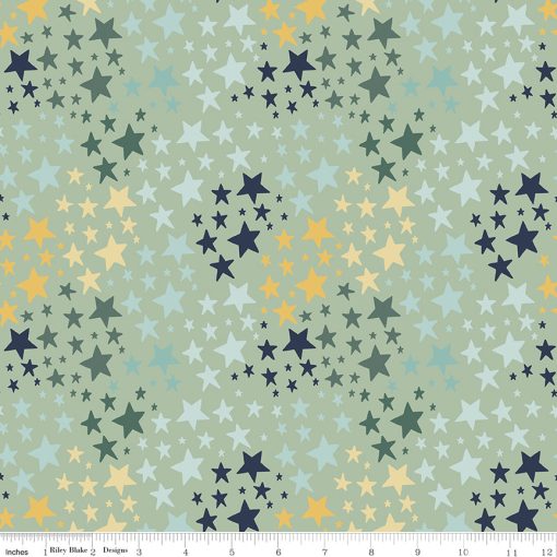 It's A Boy Sage Stars Yardage by Echo Park Paper for Riley Blake Designs