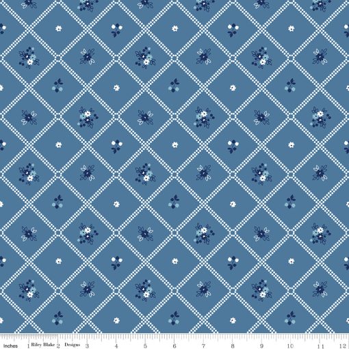 Simply Country Denim Dot Grid Yardage by Tasha Noel for Riley Blake Designs