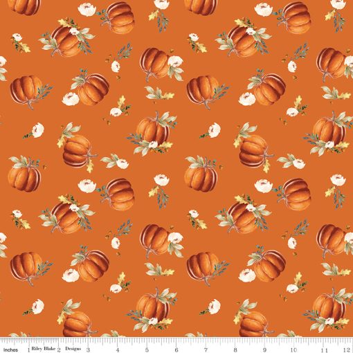 Shades Of Autumn Orange Pumpkins Yardage by My Mind's Eye for Riley Blake Designs