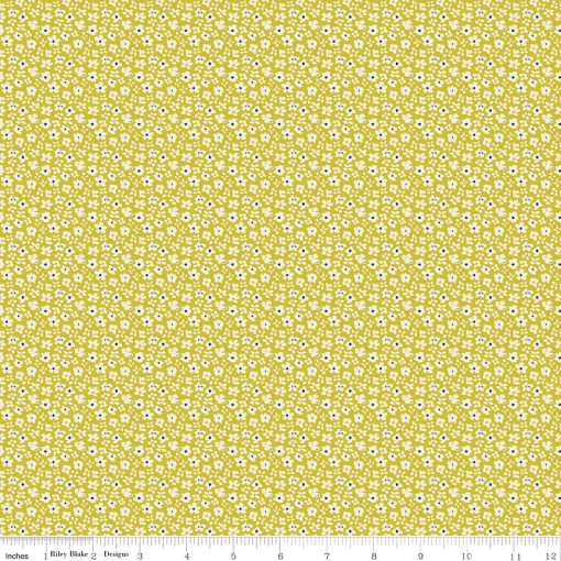 Feed My Soul Pear Daisies Yardage by Sandy Gervais for Riley Blake Designs