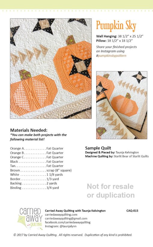 Pumpkin Sky Mini Quilt & Pillow Pattern by Taunja Kelvington of Carried Away Quilting - Image 2