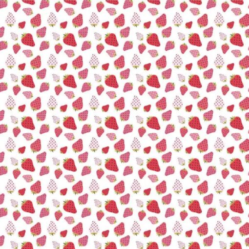 Prairie Sisters Homestead White Strawberry Patch Yardage by Lori Woods for Poppie Cotton Fabrics