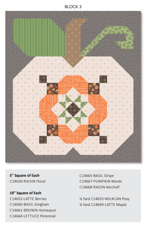 Autumn Quilt Seeds Pumpkin #3 Pattern by Lori Holt of Bee in my Bonnet - Image 2